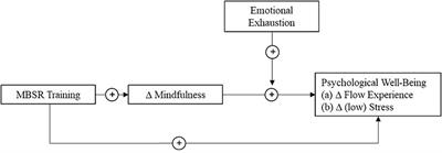 Trajectories of mindfulness, flow experience, and stress during an online-based MBSR program: the moderating role of emotional exhaustion